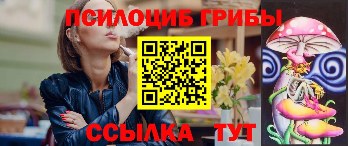 Псилоцибиновые грибы прущие грибы Знаменск