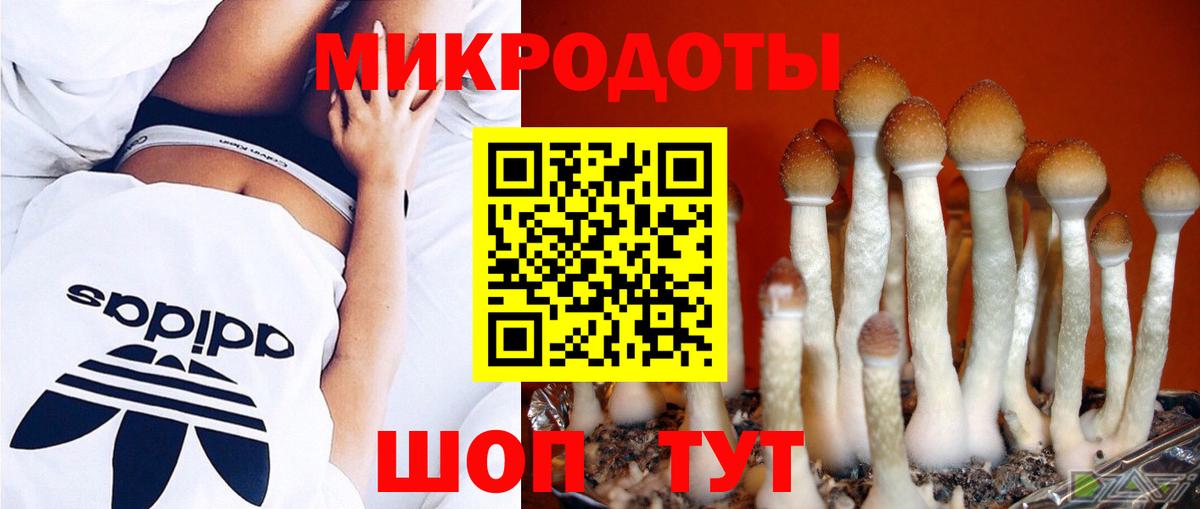 Знаменск  Галлюциногенные грибы ЛСД  Псилоцибиновые грибы Cubensis  Вход с VPN 
